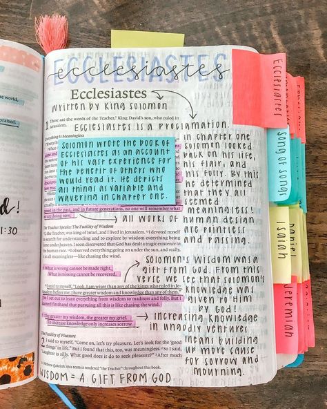 ecclesiastes study 🙌🏻 started reading this lovely book last week and i finished it up last night. this has been such a wonderful book to… Worldly Things, Bible Journal Notebooks, Bible Drawing, Bible Journal Notes, Bible Doodling, Bible Journaling Ideas Drawings, Inspire Bible Journaling, Bible Study Notebook, Christian Bible Study