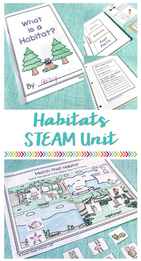 Habitat Lesson Plans, Animal Habitat Activities 2nd Grade, Habitats For Kindergarten, Habitat Lessons 2nd Grade, Habitats Activities For Kids, Habitat Activities For Kids, Habitat Kindergarten, Habitats Kindergarten, Third Grade Science Experiments