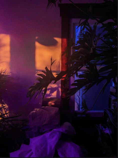 plant room aesthetic dark night golden hour purple yellow orange blue lights Plant Room Aesthetic, Room Aesthetic Dark, Purple Yellow Orange, Plant Room, Blue Lights, Plant Aesthetic, Aesthetic Dark, Dark Night, Room Aesthetic