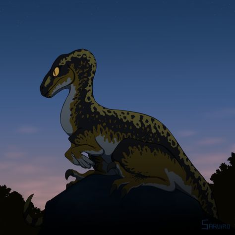 Utah Raptor Art, Raptor Dinosaur Drawing, Raptor Dinosaur Art, Dinosaur Oc, Utah Raptor, Raptor Drawing, Raptor Art, Feathered Raptor, Jurassic World Raptors