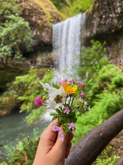 Waterfall hike (trail of ten falls) #exploring #wildflowers #outdoors Nature, Hiking Waterfall Aesthetic, Waterfall Hike Aesthetic, Mallory Core, Abby Core, Wildflowers Aesthetic, Waterfall Aesthetic, Leaves Aesthetic, Hike Trail