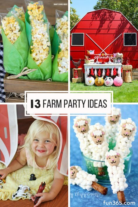 Cheap Centerpieces, Egg And Spoon Race, Barnyard Door, Themed Birthday Party Ideas, Pig In Mud, Farm Themed Party, Barnyard Birthday Party, Farm Theme Birthday, Farm Animal Party