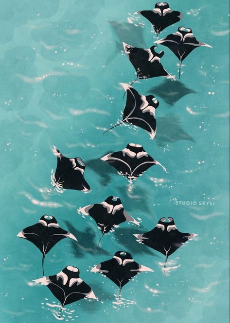 Manta Ray, Manta Ray Art, Tropical Underwater, Fish Background, Manta Rays, Artsy Photos, Beautiful Sea Creatures, Ocean Wallpaper, Home Decor Office