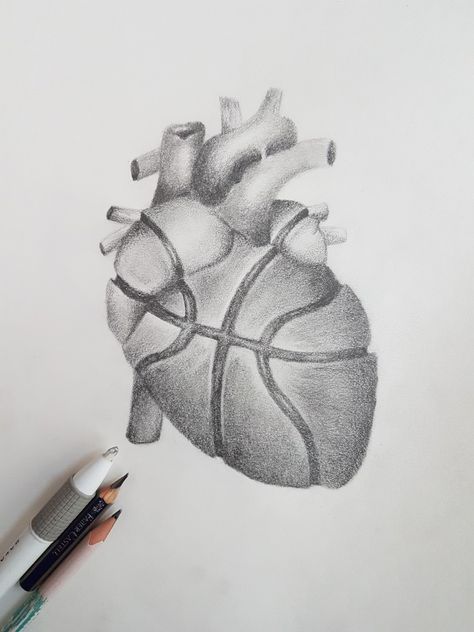 Croquis, Drawing Ideas Basketball, Basketball Aesthetic Drawing, Basketball Drawings Easy, Basketball Sketches Drawings, Basketball Art Draw, Basketball Drawings Sketches, Basketball Sketch, Drawing Basketball