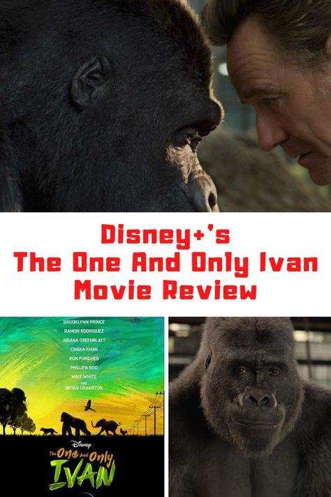 The one and only ivan movie review #Disney #DisneyPlus #TheOneAndOnlyIvan #MovieReview Species Movie, The One And Only Ivan, One And Only Ivan, Interview Guide, Bryan Cranston, Light Film, Award Winning Books, Very Scary, Human Species