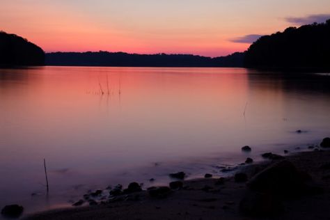 The houseboats sleep up to 8 guests and provide all the comfort and amenities you’ll need to go Lake Lanier island-hopping for that perfect sunset view. Lake Lanier Georgia, Teepee Camping, Places In Georgia, Haunted Hotels, Lake Lanier, North Georgia Mountains, Georgia Mountains, Haunted Hotel, Most Haunted Places