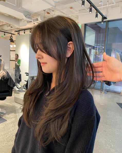 Hair Cut Wolfcut Girl Long, Wolf Cut Girls Long Hair, Wolf Cut On Long Hair Straight, Haïr Cut For Long Hair Girl, Wolfcut Asian Girl Hair, Soft Wolfcut Long Hair, Wolfcut On Long Hair, Long Shag Cut Straight Hair, Wolfcut For Long Hair