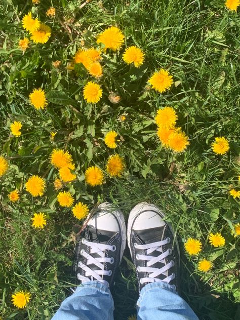 dandelions, springtime, summer aesthetic, wallpaper Riley + Core + Aesthetic, Dandelions Aesthetic, Aesthetic Converse, Dandelion Wallpaper, Custom Sneakers Diy, Dandelion Yellow, Candied Orange Peel, Different Aesthetics, Antique Doors