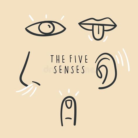 Hand drawn simple icons representing the five senses. Hand drawn doodles. Vector royalty free illustration 5 Senses Drawing, Open Hands Illustration, Sensory Illustration, Five Senses Drawing, Five Senses Illustration, 5 Senses Illustration, Senses Illustration, Cleanse Ritual, Ent Clinic