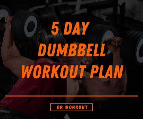 Dumbell Workout Plan For Women, 30 Day Dumbbell Workout, Workout Split 5 Day Women Dumbbell, 5 Day Dumbbell Workout Plan, 5 Day Workout Plan Men, At Home Dumbell Workout, Dumbell Workout For Men, Dumbbell Workout For Men, Dr Workout