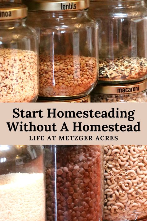 Start Homesteading Without a Homestead - Life at Metzger Acres Essen, Backyard Pool Decor, Happy Homemaking, Homestead Kitchen, Home Canning Recipes, Homestead Life, Homemade Pantry, Canning Food Preservation, Canned Food Storage