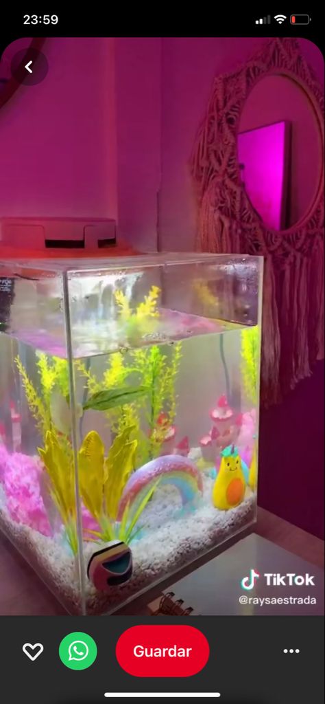 Aesthetic fish tank , indie fish tank , pecera indie , pecera aesthetic Pink Aquarium Aesthetic, Pink Betta Fish Tank, Aesthetic Fish Tank Ideas Pink, Pink Fish Tank Aesthetic, Colorful Fish Tank Ideas, Pastel Fish Tank, Girly Fish Tank Ideas, Pink Fish Tank Ideas, Preppy Fish Tank