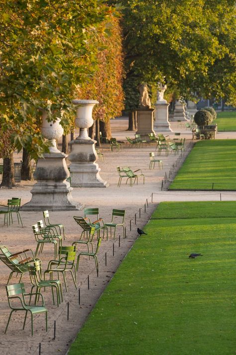 TUILERIES GARDENS PART 1 – AUTUMN AND WINTER — Parisian Moments Tuileries Garden Paris, Paris Locations, Parisian Garden, New Palace, Catherine De Medici, Tuileries Garden, Luxembourg Gardens, Montmartre Paris, Royal Garden