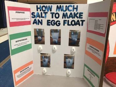 75+ Science Fair Project Ideas - Steam Fair Projects, Egg Science Fair Projects, Bouncy Egg Science Fair Project Board, How To Make An Egg Float Science Project, How Much Salt To Make An Egg Float Science Project, Floating Egg Science Project, How Much Salt To Make An Egg Float, Science Fair Board Ideas, Science Projects For Kids School