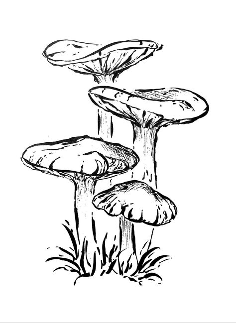 Art drawing ink sketch mushroom nature Sketchbook Art Inspiration Mushroom, Mushroom Art Reference, Mushroom Doodles Aesthetic, Fairy Drawings Cute, Art Sketches Plants, Long Mushroom Drawing, Mushroom Ideas Drawing, Flat Mushroom Drawing, Botanical Mushroom Drawings