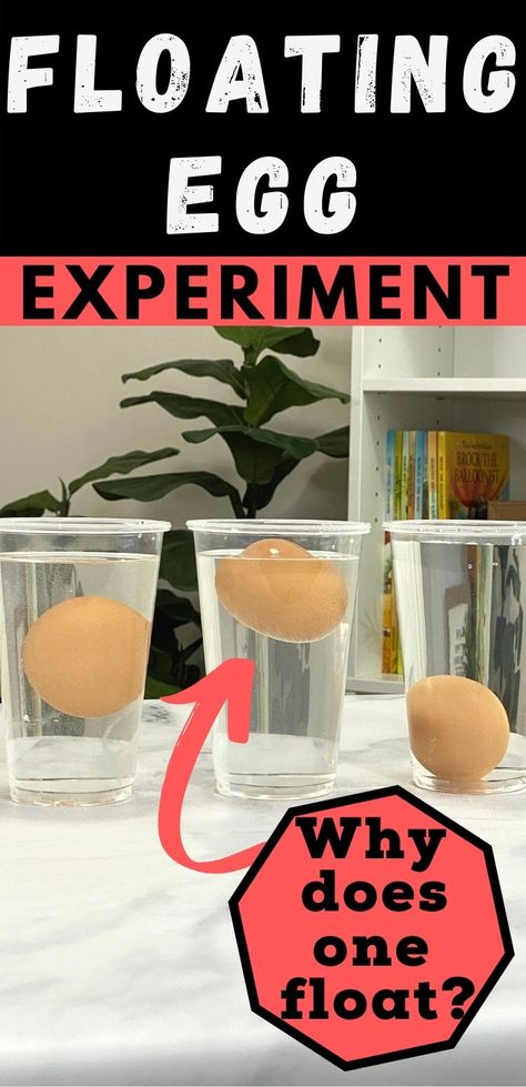 An egg placed in water usually sinks to the bottom, but watch how we make an egg float in this cool science experiment for kids! This is a great learning activity for kids to help them discover how the density of an object and a liquid determines if something floats or sinks. Get more fun activities for kids here! How To Make An Egg Float Science Project, Egg Science Experiment For Kids, How Much Salt To Make An Egg Float, Science Fair Topics, Density Activities, Egg Experiment, Density Experiment, Fun Experiments For Kids, Cool Science Projects