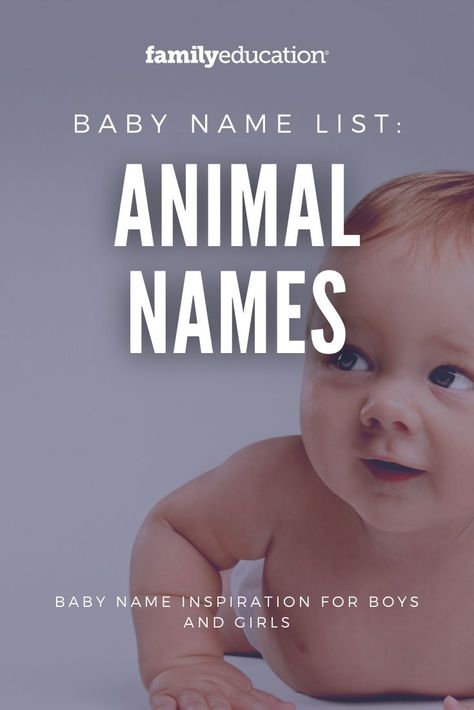 Looking for an animal-inspired baby name list? These names for boys and girls are great inspiration! Animal Names For Kids, Names Starting With C, Baby Name Ideas, Name Meanings, Baby Animal Names, Male Deer, Animal Meanings, Names For Boys, Animal Names