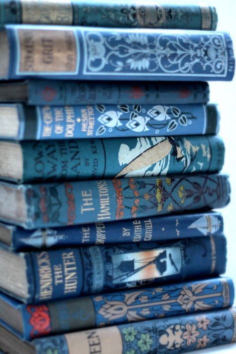 Photo Korat, Image Bleu, Books Decor, Ravenclaw Aesthetic, Vintage Bookshelf, Buku Harry Potter, Everything Is Blue, Tapeta Pro Iphone, Blue Books