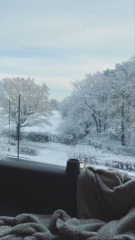 Snow, nature, trees, street view, mug, hot drink, blanket, window view, sky