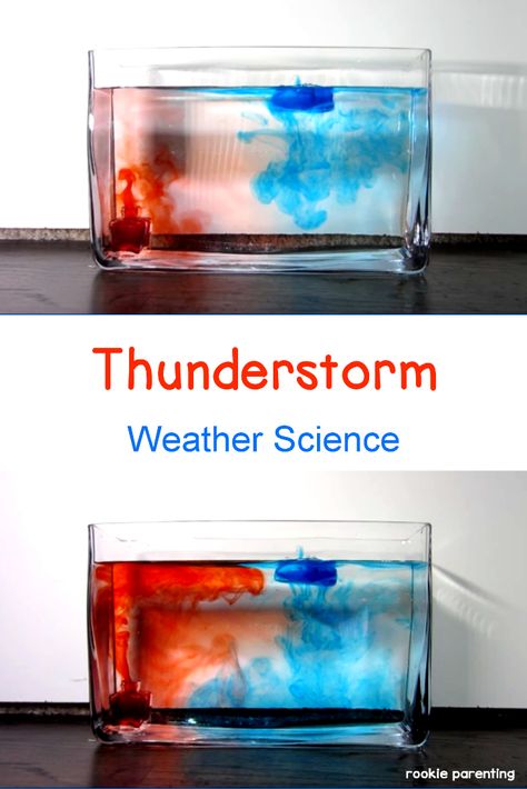 Make your own thunderstorm at home! Watch a convection current form right before your eyes. | Weather Science For Kids 6th Grade Science, 7th Grade Science Projects, Weather Experiments, Convection Currents, School Science Projects, Weather Science, Science Camp, 7th Grade Science, Science Videos