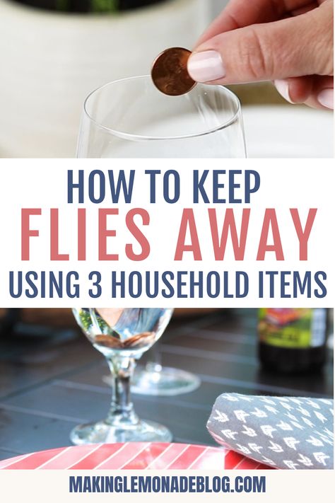 Learn how to use 3 things you already have at home to keep flies away outside. This hack for getting rid of flies outdoors will let you eat your meals in peace. How To Keep Flies Off Food Outside, How To Keep Flies Away Outside, Keep Flies Away Outside Outdoor Parties, Deter Flies Outside, Flies Repellent Indoor, What Keeps Flies Away, How To Deter Flies Outside, Repel Flies Outdoors, Keep Flies Away From Food Outside