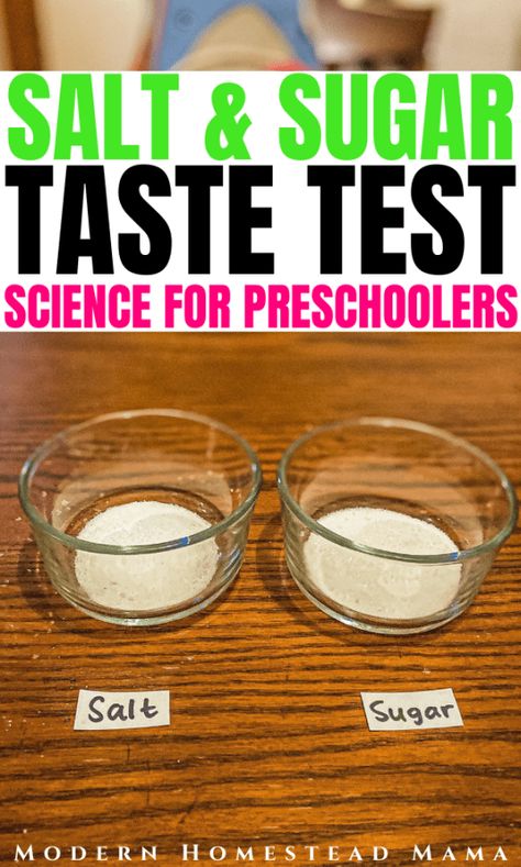 Salt & Sugar Taste Test - Five Senses Activity | Modern Homestead Mama Five Senses Taste Activities, Five Senses Activity, 5 Senses Craft, Senses Activity, 5 Senses Preschool, Natural Steps, Five Senses Preschool, 5 Senses Activities, Daycare Lesson Plans