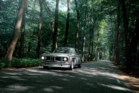 Car Driving Through Forest, Car In Forest, Car Shoot, Car Commercial, Aesthetic Cars, Grade 10, Forest View, Forest Road, Sport Car