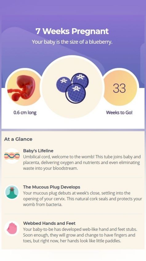 All you need to know about baby development and your well-being at 7 week of pregnancy. Go to our website. #7weekpregnancy #pregnancyweekbyweek #pregnant #pregnancy 7weeks Pregnant, Mucous Plug, Baby Development In Womb, Baby Development Chart, 7 Weeks Pregnant, Stages Of Baby Development, 21 Weeks Pregnant, Baby Development Milestones, Baby Development Toys