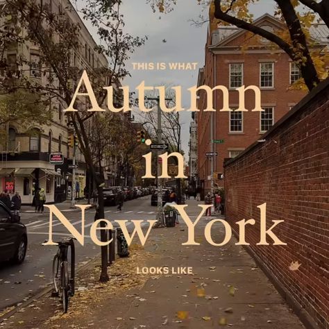 Nature, Fall In New York City, Nyc Autumn, Nyc Fall, Autumn In New York, Autumn Actvities, New York Travel Guide, Autumn Leaves Photography, New York Central