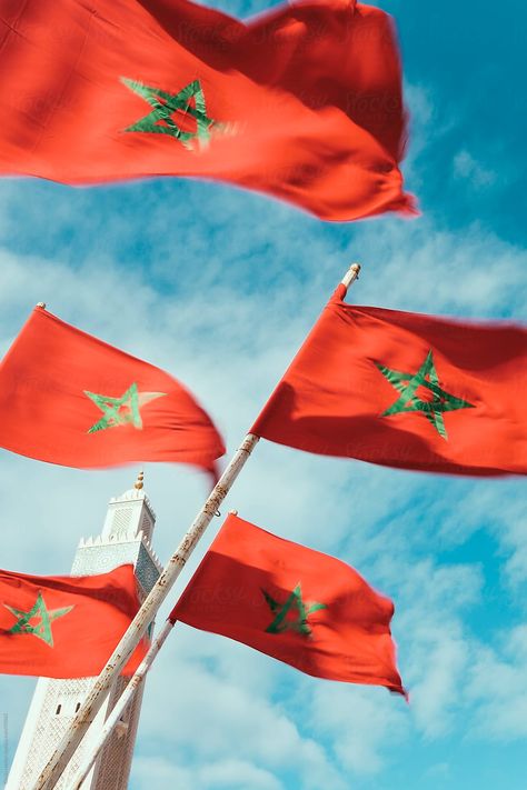 Morroco Flag, Morocco Wallpaper, Moroccan Flag, Hassan Ii Mosque, Morocco Flag, Wind Art, Phone Wallpaper Pink, Casablanca Morocco, Moroccan Culture
