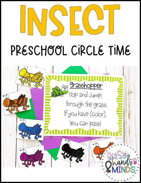 Spider Theme Preschool, Insect Preschool, Preschool Insects Activities, Preschool Bug Theme, Toddler Circle Time, Preschool Circle Time Activities, Insects Theme Preschool, Language Activities Preschool, Circle Time Games