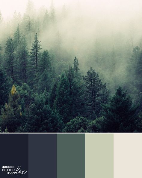 Color palette ideas, inspiration and colour swatches for home decor, design and blog themes. Bedroom Color Schemes Relaxing, Best Bedroom Colors, House Color Palettes, Hemma Diy, Forest Color, Color Schemes Colour Palettes, Forest Photos, 카페 인테리어 디자인, Foggy Forest