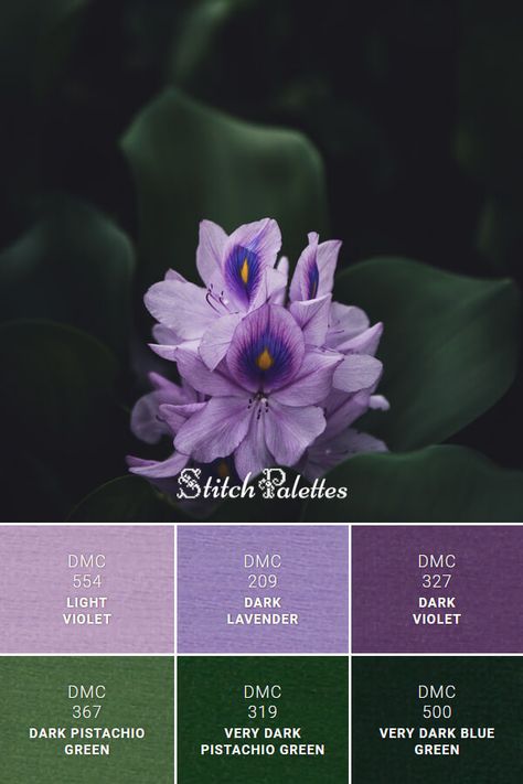 Floss color inspiration for cross stitch and embroidery projects. Thread colors used: DMC 327: Dark Violet / DMC 209: Dark Lavender / DMC 554: Light Violet / DMC 367: Dark Pistachio Green / DMC 319: Very Dark Pistachio Green / DMC 500: Very Dark Blue Green. Palette ID: SPA0523 Hunter Green And Lavender, Dark Green And Purple Palette, Emerald Green And Purple Color Palette, Dark Green And Purple Color Palette, Dark Purple And Green Color Palette, Dark Green Light Purple Wedding, Dark Green And Lavender Bedroom, Lavender And Emerald Green Color Palette, Green Brown Purple Color Palette