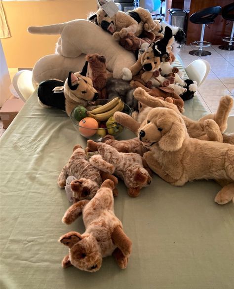 This is what your dining room table looks like when you own a plush toy business. My son says "I don't know when it became normal to have stuffed animals all over my house". Lifelike and unique comfort and therapy plush doll pets, handmade with love using 100% recycled stuffing. #emotionalsupportanimals #softtoy #realisticstuffedanimals Realistic Animal Plushies, Essa Stuffed Animal, Essa Plush, Toy Business, Dog Stuffed Animals, Real Wolf, Realistic Stuffed Animals, Service Dogs Gear, Soft Toy Dog