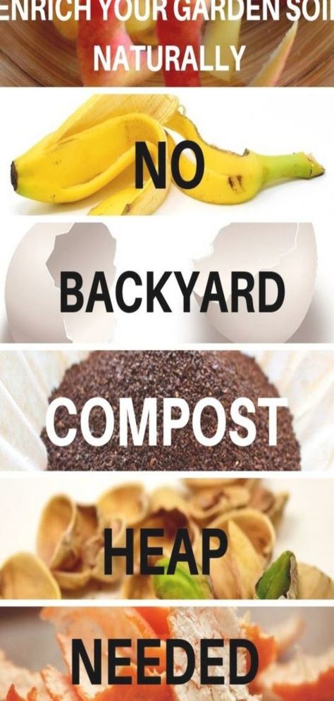 Want to learn some gardening hacks on how to improve garden soil  in your vegetable garden while getting rid of  kitchen scraps (no backyard compost pile needed)? Click to read the article. You will also learn about 4 easy methods of outdoor and indoor composting without compost heap. #gardeninghacks #gardensoil #composting #gardeningtips #vegetablegarden #gardening Organic Gardening Tips, Compost Tea Recipe, Compost Bin Diy, Organic Gardening Pest Control, Compost Soil, Compost Tea, Organic Vegetable Garden, Garden Compost, Soil Improvement