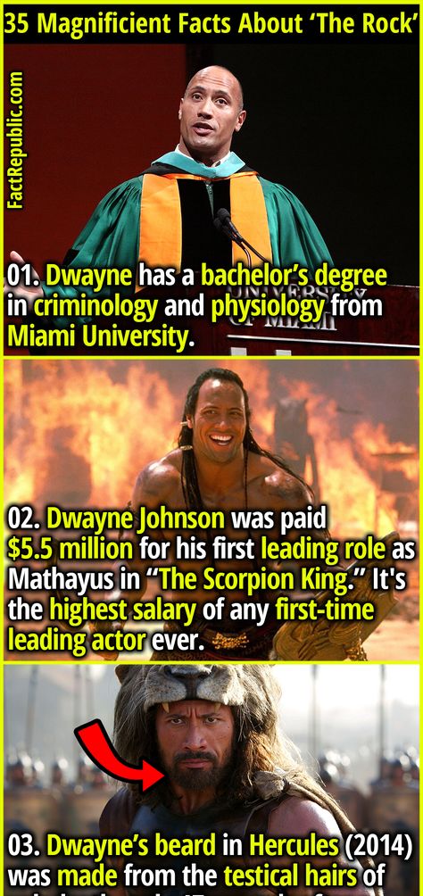 Wwe Facts, Dwayne The Rock Johnson, Fact Republic, The Rock Johnson, Miami University, Rock Johnson, The Rock Dwayne Johnson, Wrestling Superstars, Dwayne The Rock