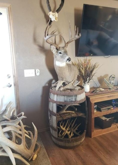 Pedistal Mounts Taxidermy, Displaying Antler Sheds, Decorating With European Mounts, How To Display European Mounts, Unique Deer Mount Ideas, Hunting Theme Living Room, Buck Mounts Ideas, Whiskey Barrel Deer Mount, Deer Mount Pedestal