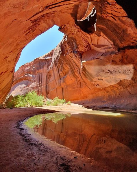 Glen Canyon National Rec Area + Utah Nature, Glen Canyon National Park, Grand Canyon Photos, Grand Canyon Aesthetic, Canyon Aesthetic, Utah Canyons, Great Canyon, Paria Canyon, Canyon Landscape