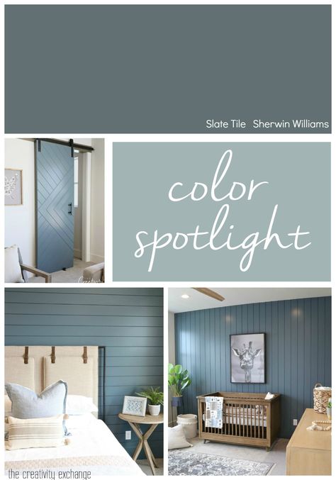 Design Seeds, Sherwin Williams Slate Tile, Color Spotlight, Sherwin Williams Colors, Tile Color, Slate Tile, Interior Paint Colors, Bedroom Paint, Paint Colors For Home