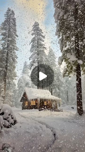 Nature on Instagram Nature, Winter Scenes Wonderland, Super Simple Songs, Winter Mornings, Winter Is Here, Snow Scenes, Bee Gees, Silent Night, 12 Days Of Christmas