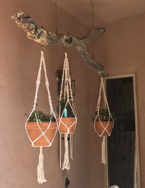 Tree Limb Plant Hanger, Stick Plant Hanger, Branch Plant Hanger, Driftwood Plant Hanger, Branch Macrame, Driftwood Hanging, Plants Hanging, Homeschool Room, Hanging Plants Indoor