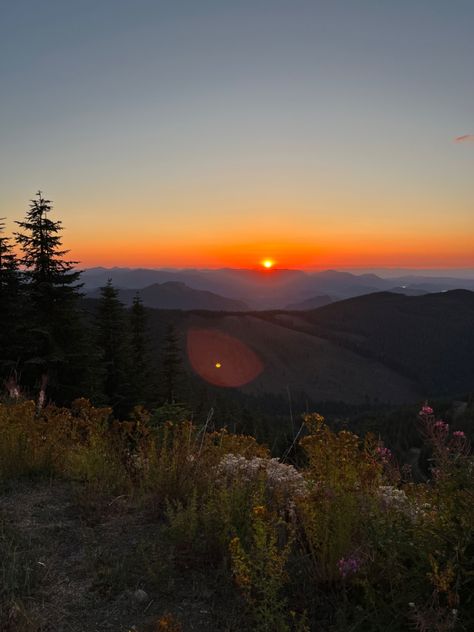 #mountains #sunset #sunsetphotography #trees #pnw #washingtonstate #mtrainier #fallsunsets Sunrise Aesthetic Mountain, Sunset Aesthetic Mountain, Sunsets Mountain, Pretty Settings, Sunrise In Mountains, Sunrise Over Mountains, Photos Of Sunsets, Mountain Sunsets, Prettiest Sunset