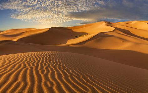Continuing our series on the most dramatic travel experiences on the planet, our experts reflect on other-worldly landscapes and the sands of time. Nature, Dune Aesthetic, Africa Holiday, Sand Landscape, Best Of Ireland, Gobi Desert, Desert Area, Sands Of Time, Arabian Art