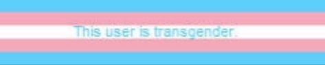 This User Template, User Boxes, Cute Banners, Trans Pride, Header Banner, Get To Know Me, Twitter Header, Literally Me, Getting To Know