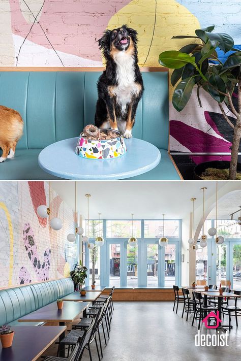 New York City’s Colorful, Pet-friendly Café where Feels Fresh and Charming Pet Friendly Cafe Interior, Dog Cafe Interior Design, Pet Friendly Coffee Shop, Pet Friendly Cafe Ideas, Bar Design Ideas Restaurant, Pet Cafe Interior, Pet Coffee Shop, Dog Cafe Design, Dog Cafe Aesthetic