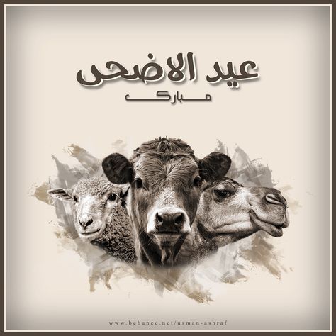 Eid ul Adha on Behance Eid Post Ideas, Eid Ul Adha Creative Ads, Eid Ul Adha Post, Eid Cow, Eid Post, Eid Al Adha Wishes, Eid Al-adha Design, Bakra Eid, Eid Adha