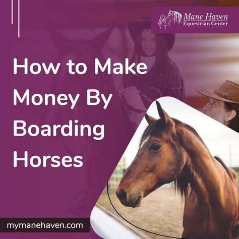 How To Start A Horse Boarding Business, Horse Boarding Business, Horse Braids, Horseback Riding Tips, Horse Braiding, Horse Shelter, Riding Tips, Horse Facility, Riding Arenas