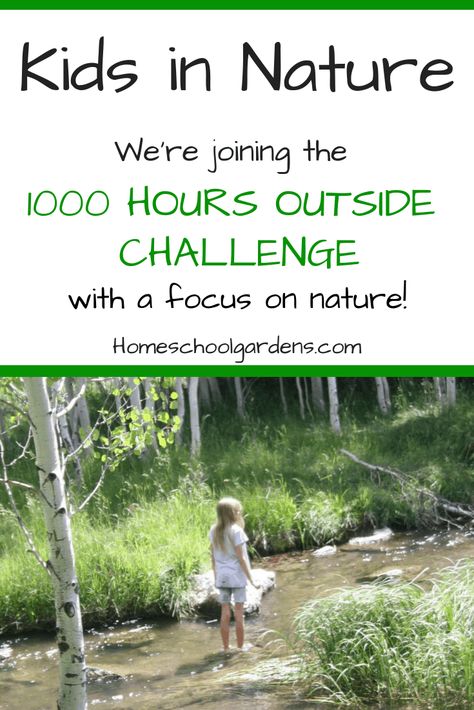 Nature, Outside Challenge, Wild Schooling, Kids In Nature, 1000 Hours Outside, Nature Challenge, Homeschool Nature, Homeschool Nature Study, Unstructured Play