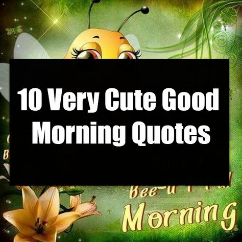 Good Morning World Funny, Late Morning Quotes, Good Morning Hugs Quotes, Good Morning My Friend Quotes, Funny Good Morning Images Laughing, Good Morning Sunshine Quotes Funny, Good Morning Spiritual Quotes Thoughts, Good Morning Sunshine Quotes Inspiration, Funny Good Morning Images Smile