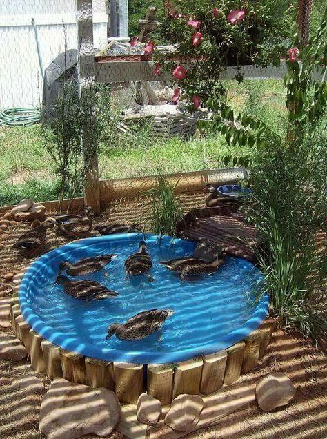 Reban Ayam, Veranda Design, Backyard Ducks, Duck Coop, Duck House, Duck Pond, Building A Chicken Coop, Mini Farm, Backyard Chicken Coops
